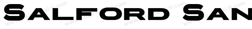 Salford Sans Bold字体转换